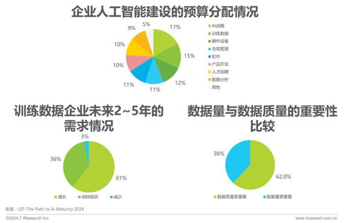 2024年中國AI基礎(chǔ)數(shù)據(jù)服務(wù)研究報(bào)告 網(wǎng)絡(luò)文化經(jīng)營視角