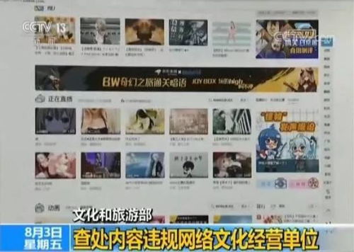 重拳出擊！文化和旅游部查處內(nèi)容違規(guī)網(wǎng)絡(luò)文化經(jīng)營單位，為網(wǎng)絡(luò)文化清朗空間保駕護(hù)航
